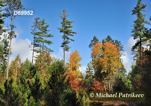 Algonquin Provincial Park, Ontario